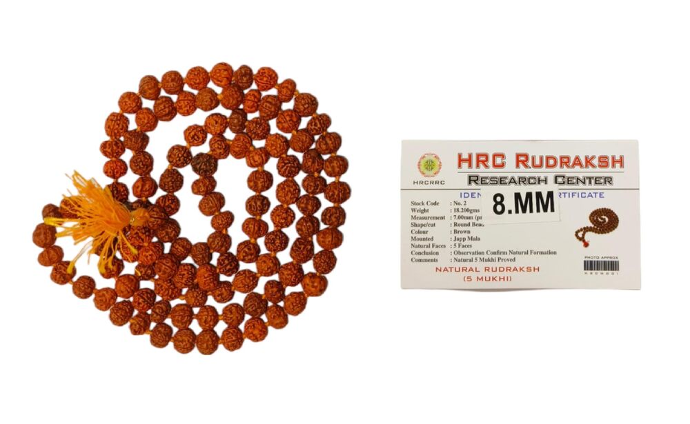 5939 Authentic Rudraksh Mala 5 Face Panchmukhi | Certified Original